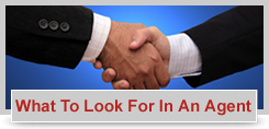 Look for Agent